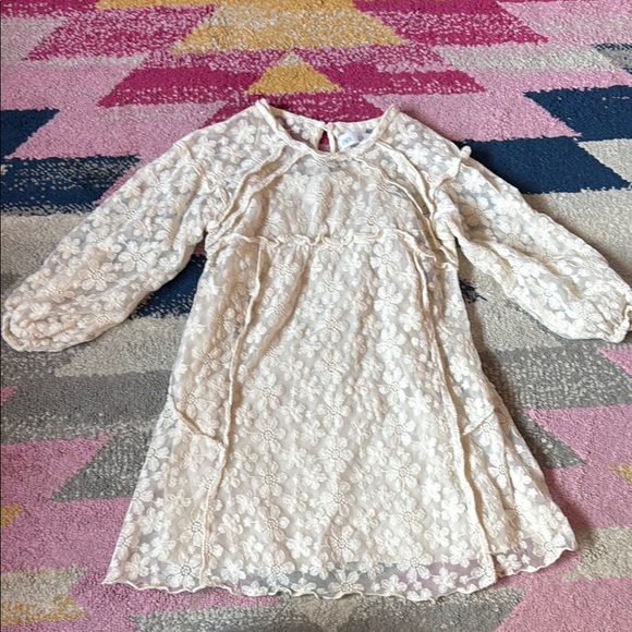 ZARA Lace Dress - Picture 1 of 13